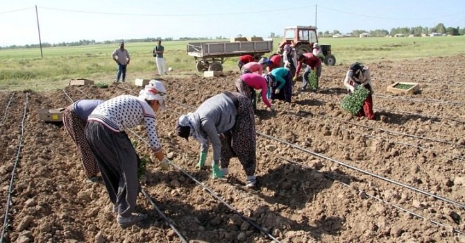 Kadın işçilerin Ramazan'da Ekmek Mücadelesi