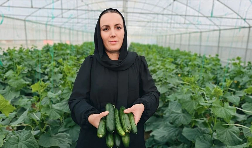 Irak’tan Hakkari'ye uzanan başarı öyküsü