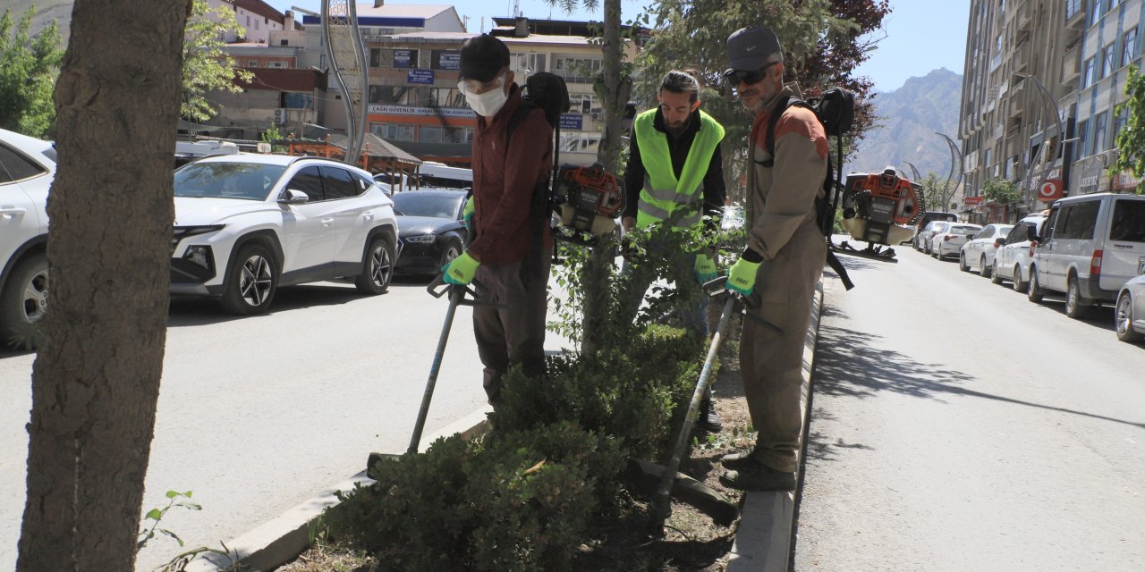 Hakkari’de Kent Estetiği İçin Yeşil Müdahale