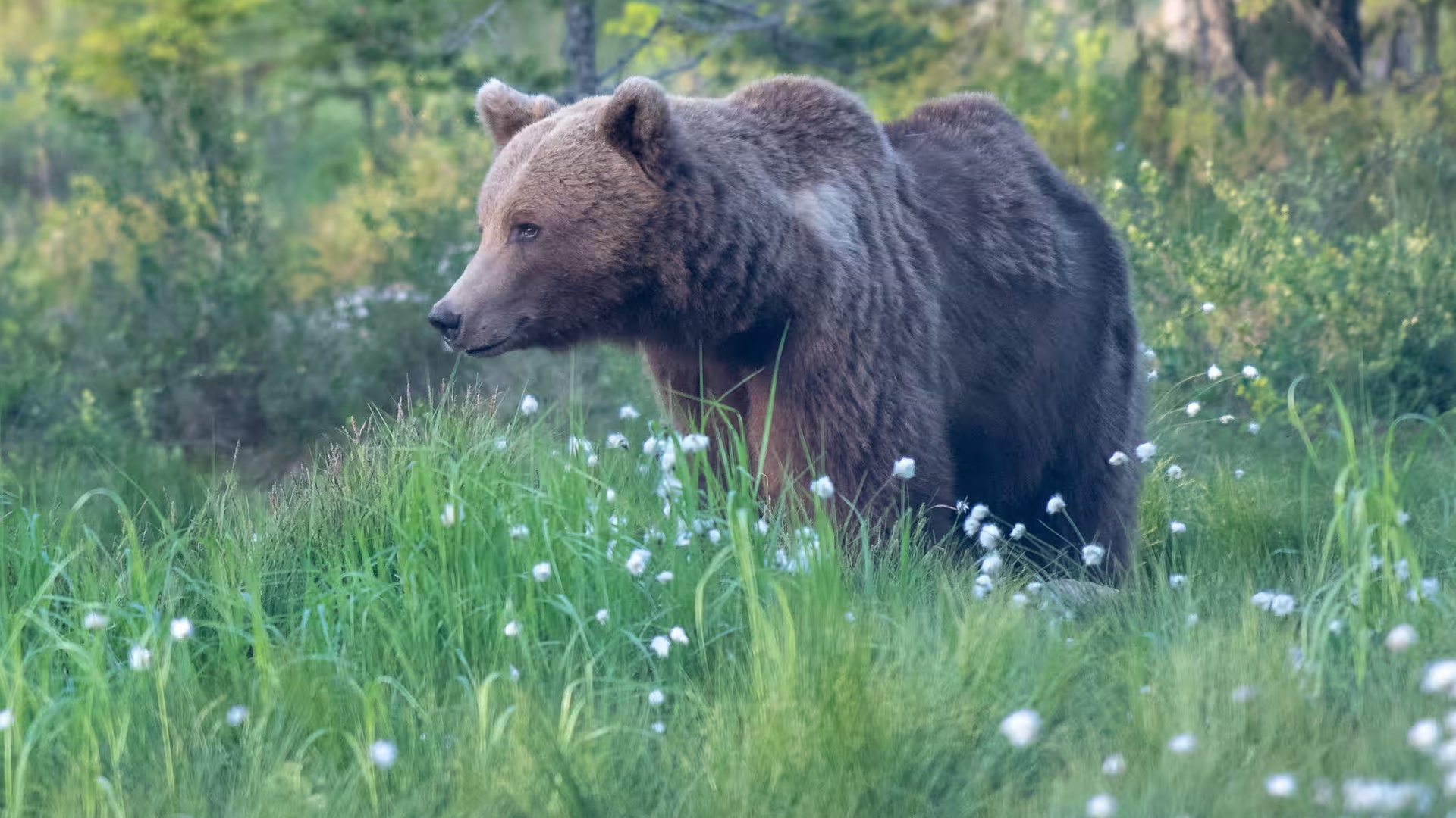 Hakkari'de kayıp 2 kişi bulundu