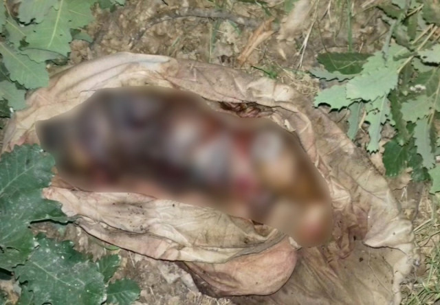 Şemdinli'de Yeni Doğmuş Erkek Cesedi Bulundu