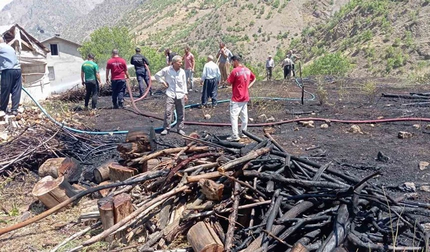 Hakkari’de Ormanlık Alanda Yangın!