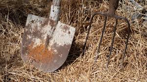 Bu olay Hakkari’de yaşandı: Kardeşini dirgenle ağır yaraladı