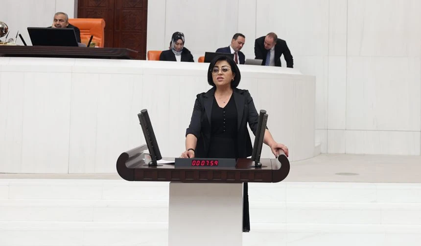 Hakkari’de Kırsal Altyapıda Geciken Hizmetler Ankara’nın Gündeminde