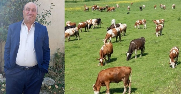 Hayvan Otlatırken Bacağından Vuruldu