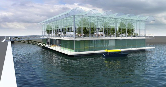 Hollanda'da 'yüzen çiftlik' kuruluyor