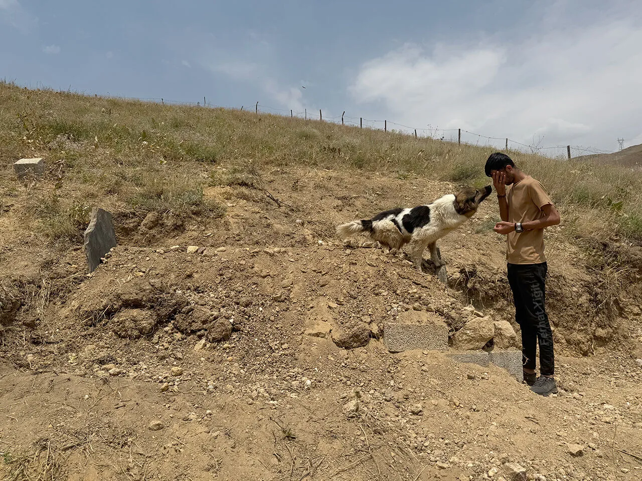 Sadakat Gözyaşı Döküyor: Ölen Sahibinin Mezarını Bırakmıyor