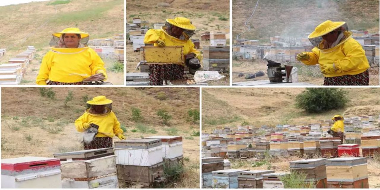 Hakkarili 6 çocuklu arıcı annenin azmi