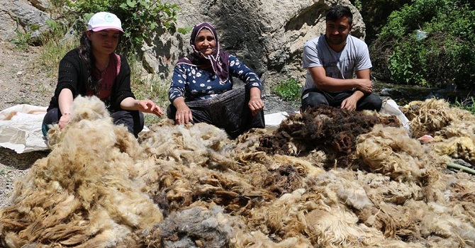 Hakkarililer yün bulmakta zorlanıyor