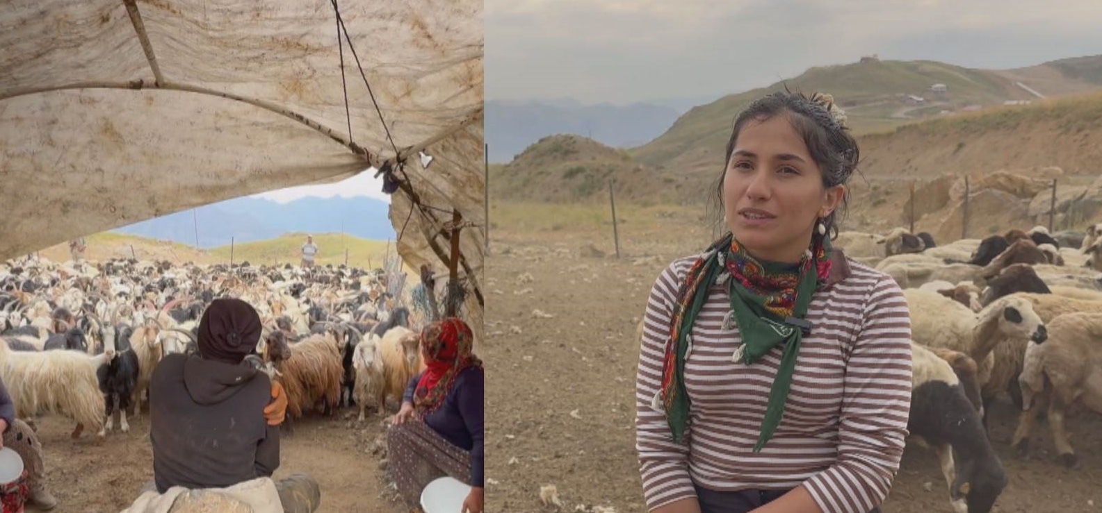 Hakkari'de Göçerlik, emek ve ezgiyle harmanlanan bir yaşam
