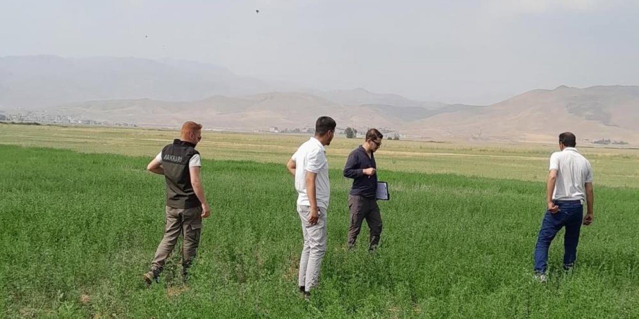 Yüksekova'da Yem Bitkileri İçin Arazi Tespitleri Yapıldı