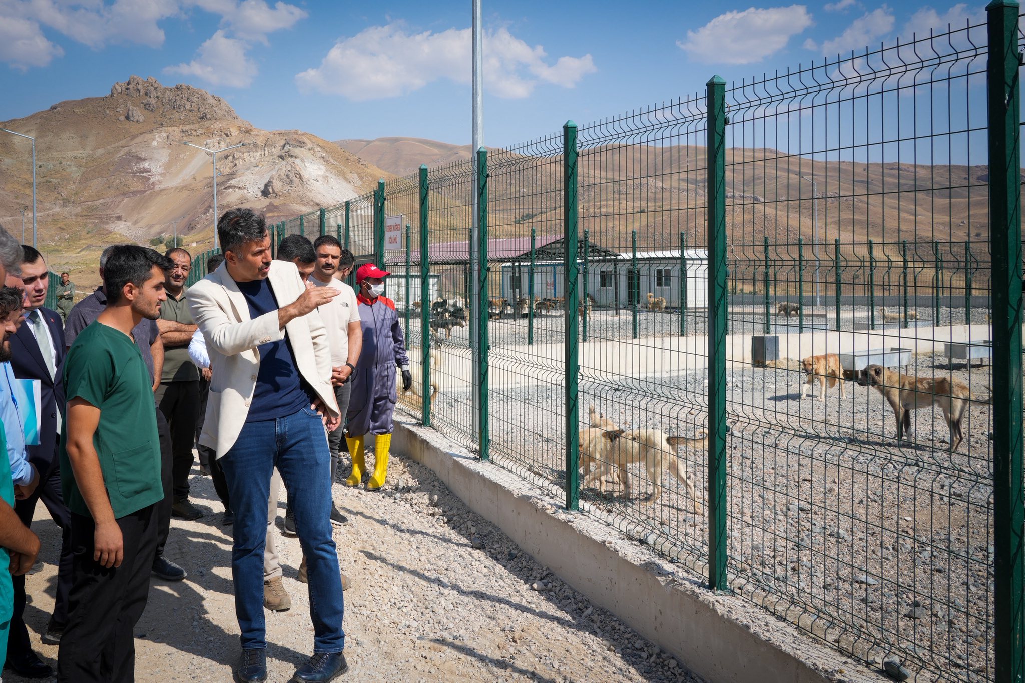 Vali Çelik: “1 Ay İçinde Başıboş Hayvan Kalmayacak”
