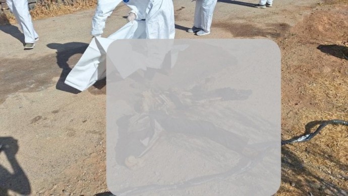 4'ü kadın 20 cenaze bulundu