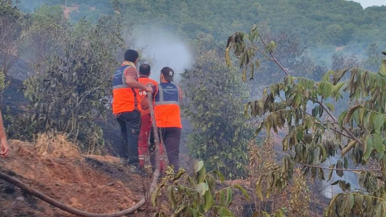 Şemdinli’de çıkan yangın kısa sürede kontrol altına alındı