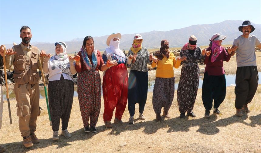 Hakkari'de 'berivanların' yayla halayı