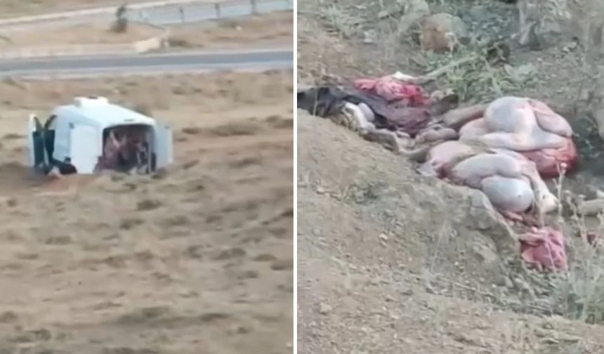 Hakkari'de Kaçak Hayvan Kesimi: Vatandaşlardan Tepki