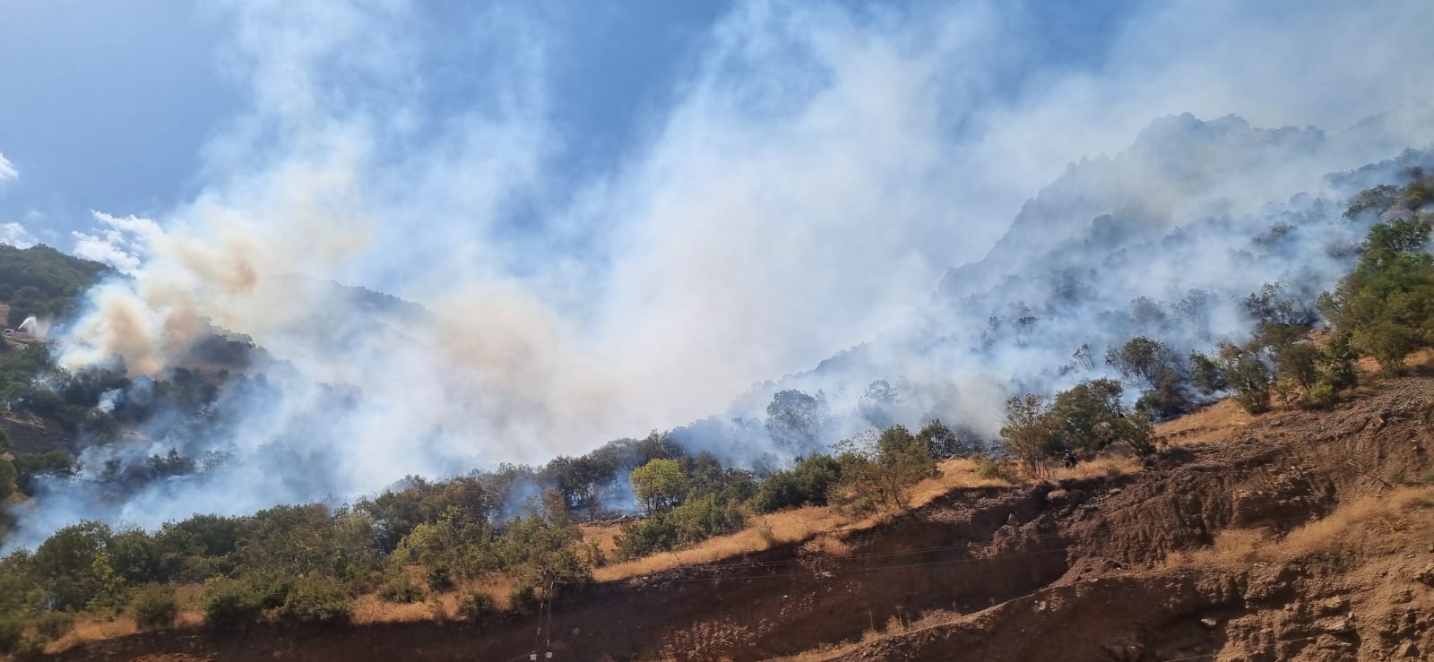 Hakkari'de Zorlu Araziye Rağmen Ekipler Yangını Söndürdü