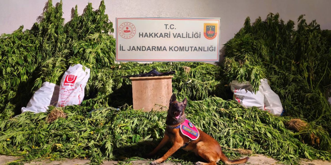 Hakkari'de 3 Şüpheliye Operasyon: 1 Gözaltı, 2 Kişi Firarda