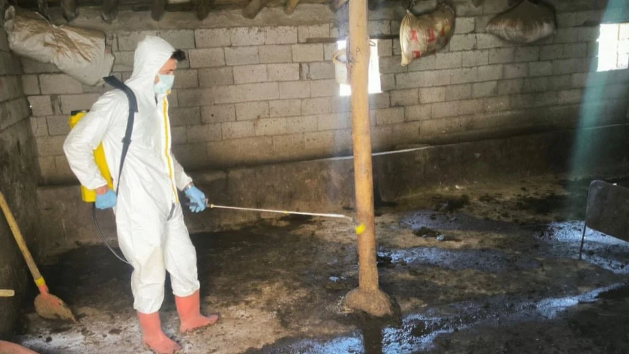 Hayvan Sağlığı İçin Harekete Geçildi: Yüksekova'da Kapsamlı Önlem