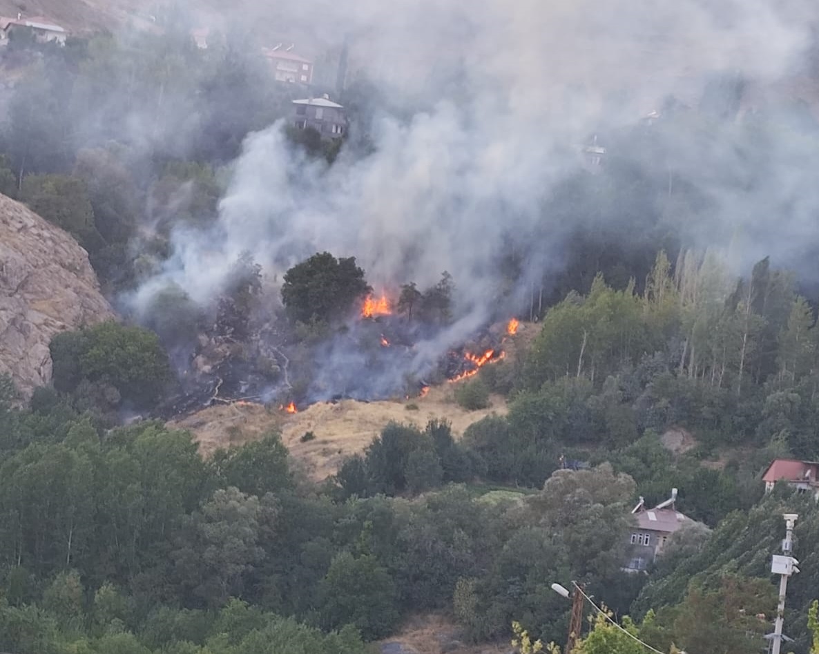 Hakkari'de korkutan orman yangını!
