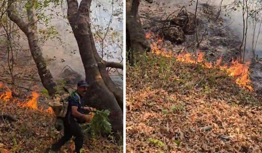 Yüksekova’da Orman Yangını