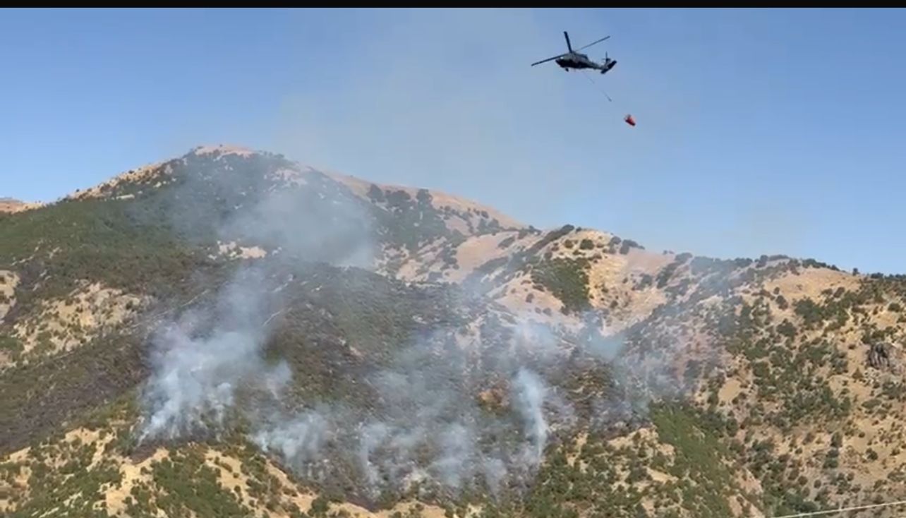 Elazığ’dan Hakkâri’ye Hava Desteği: Orman Yangınına Helikopterle Müdahale