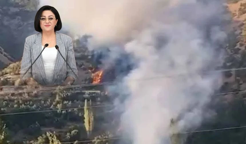 Hakkari Milletvekili Bartın’dan Orman Yangınlarına ilişkin Önerge