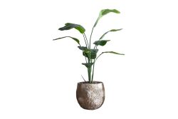 Kervan Yapay Çiçek