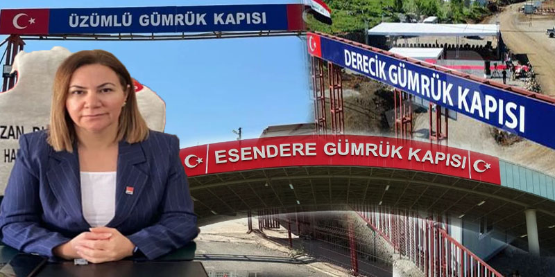 CHP Hakkari İl Başkanı Çakırbeyli: İktidar Halkın Cebine Göz Dikti