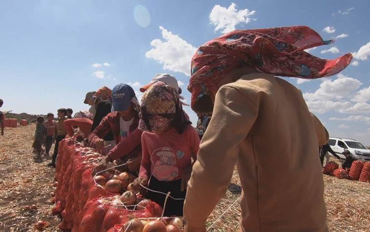 Okullar açıldı ama çocuk işçiler için ders zili çalamadı