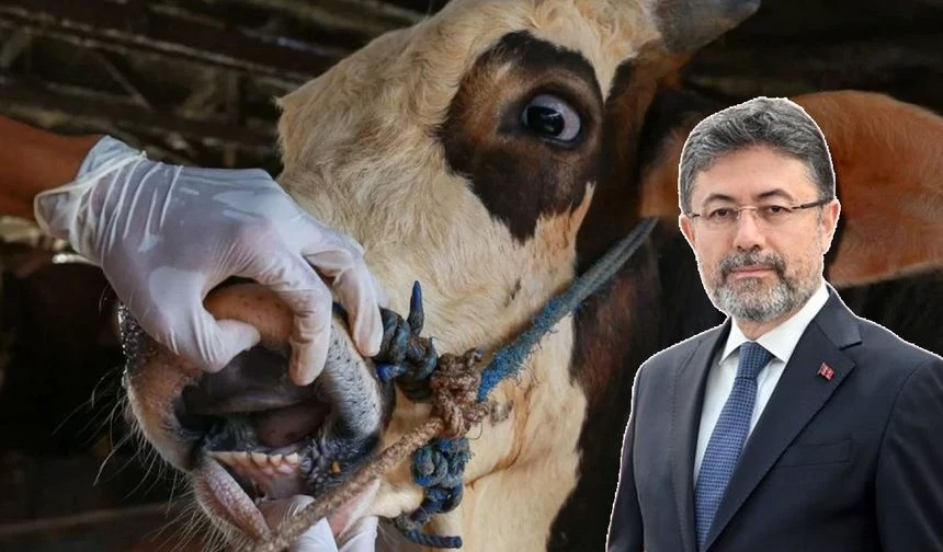 Bakan Yumaklı'dan Hakkari Açıklaması