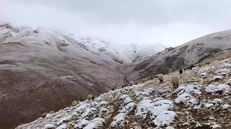 Hakkari-Van Karayolunda Mevsimin İlk Karı: Çobanlar Yaylada Zorlandı