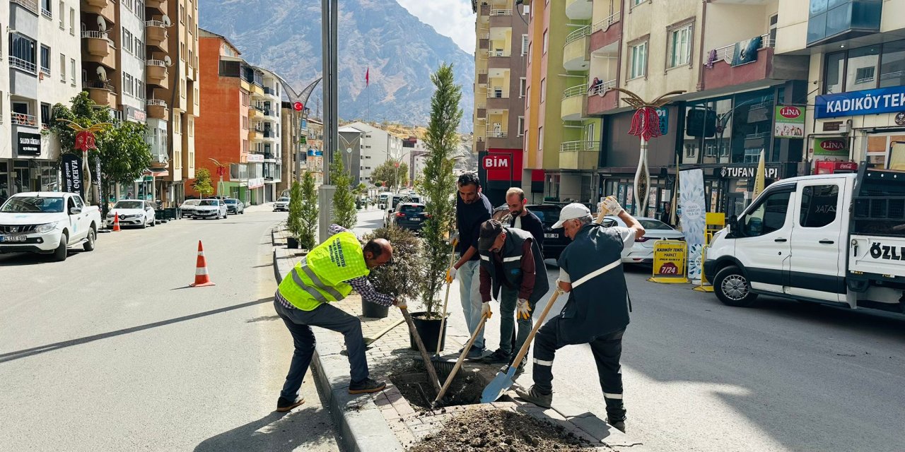 Hakkari’de Kuruyan Fidanların Yerine Yenileri Dikiliyor