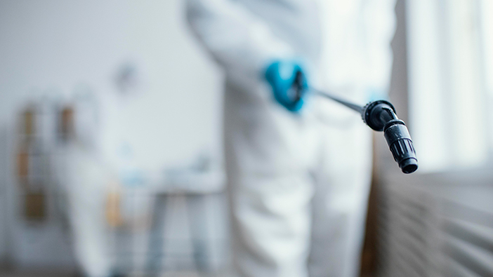 Profesyonel Tahtakurusu İlaçlama Öncesi Evinizi Nasıl Hazırlamalısınız?