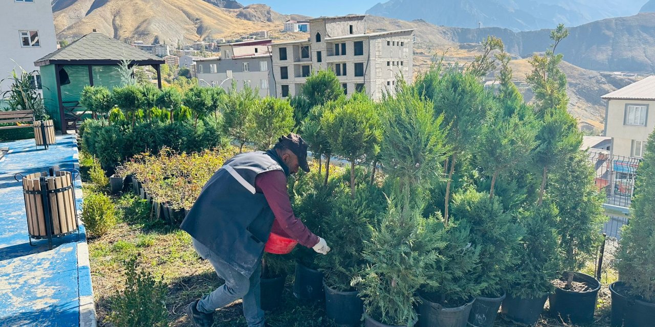 Hakkâri’de Çevre Düzenlemesi sürüyor