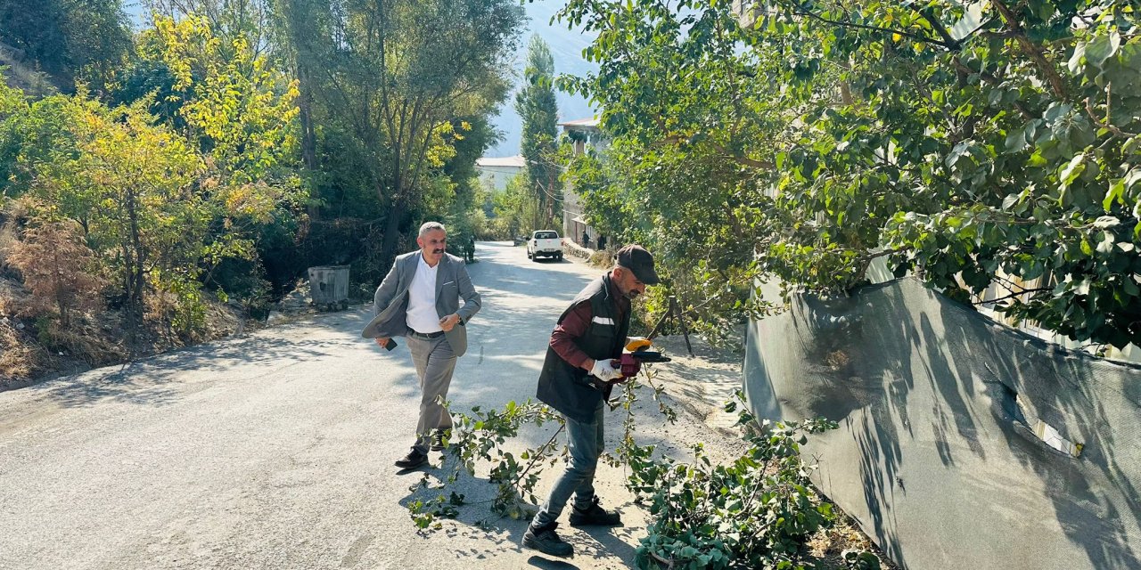 Hakkari’de Ulaşım Güvenliği İçin Ağaçlar Budandı