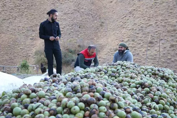 Hakkari'de Boş arazi 10 yılda hazineye dönüştü!