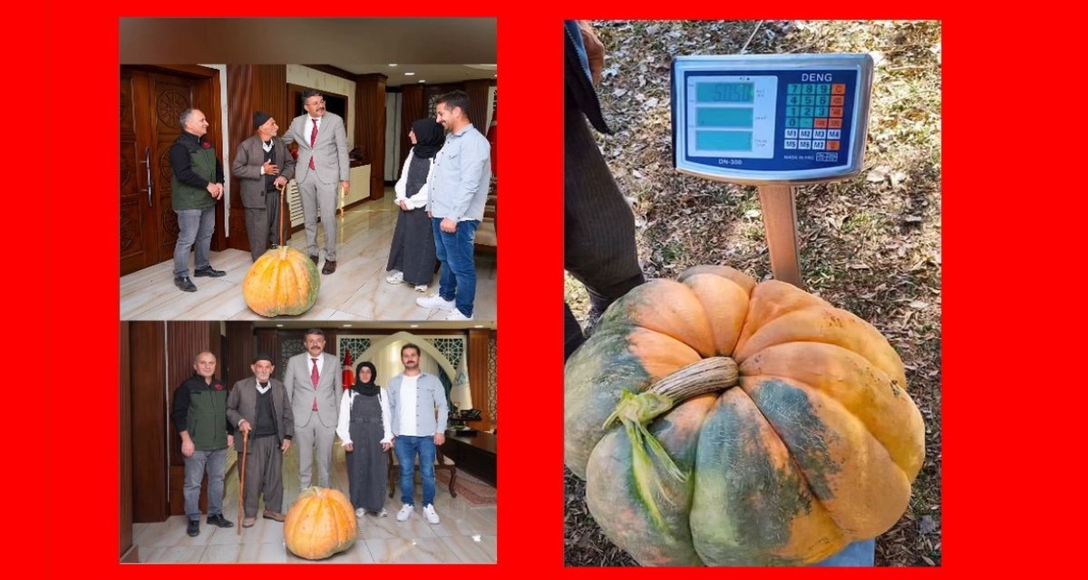 Hakkari’de Rekor Bal Kabağı: Yenilenebilir Enerjiyle Gelen Bereket