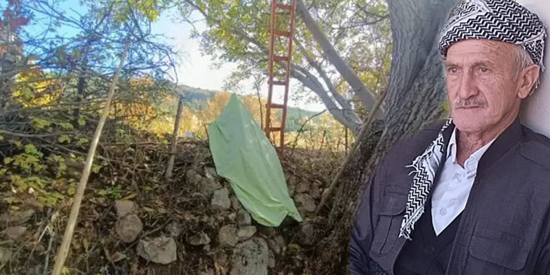 Hakkari’de Yine Ceviz Ağacı Faciası: 61 Yaşındaki Ferhan Sevmiş Yaşamını Yitirdi