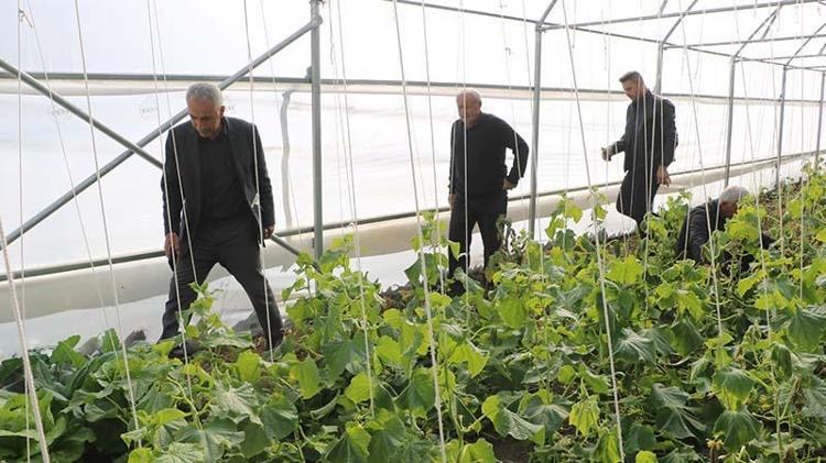 Köylerine dönüp üretime başladılar