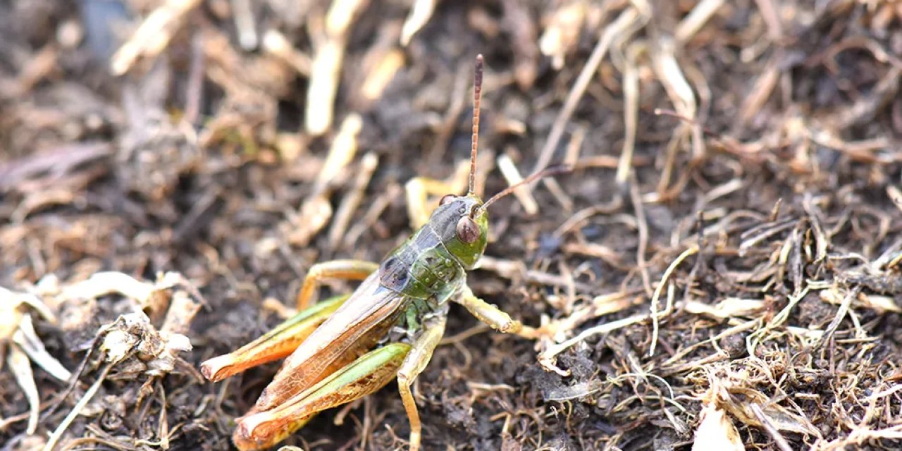 Hakkari Üniversitesi’nden Bilimsel Keşif