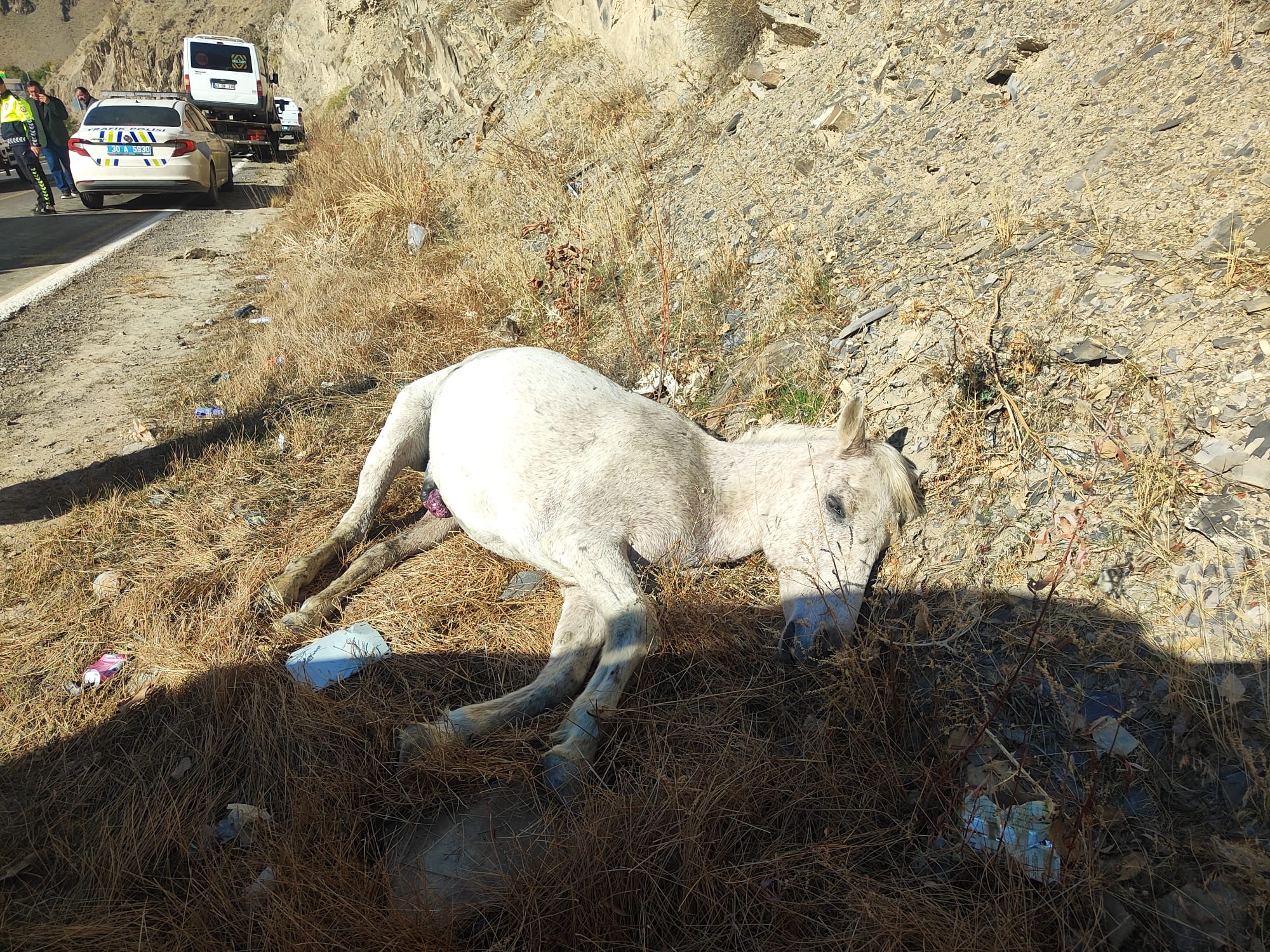 Hakkari’de Feci Kaza: Minibüs Yola Aniden Çıkan Ata Çarptı