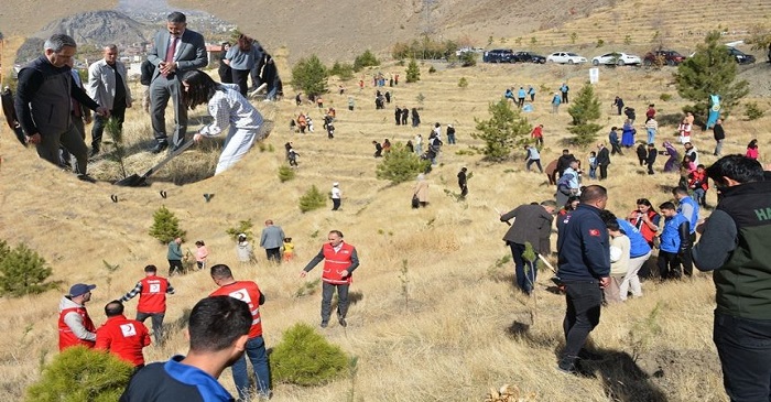 Hakkâri Kent Ormanı’nda Bin 500 Fidan Dikildi