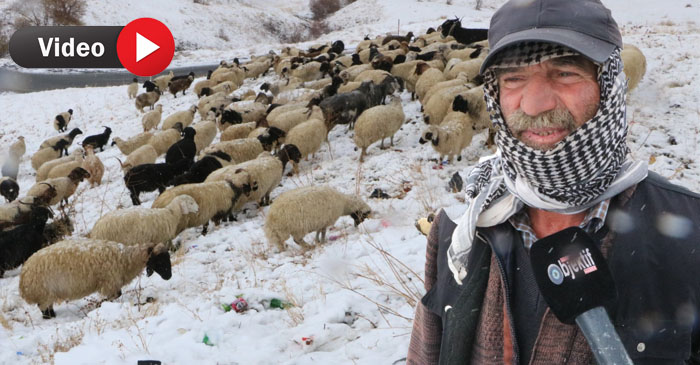 Hakkari'de Kar Yağışı Çobanları Hazırlıksız Yakaladı