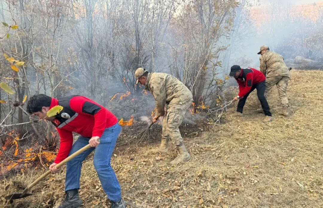 Şemdinli'de Orman Yangını: Ekipler Müdahalede