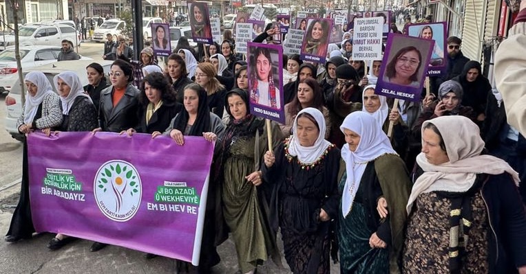 DEM Parti’den Yüksekova’da 25 Kasım Yürüyüşü