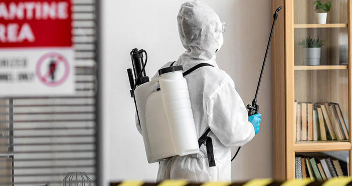 Böcek İlaçlama Evcil Hayvanlar İçin Güvenli mi?