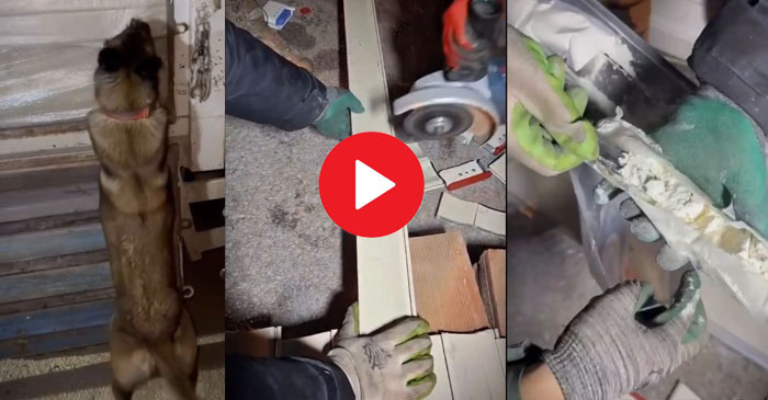 Hakkari’de Operasyon: İki Şüpheli Gözaltına alındı