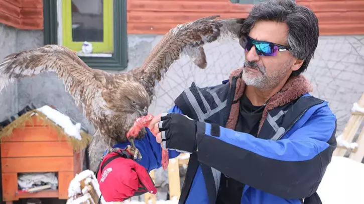 Hakkari'de Tedavi Edip Doğaya Bıraktı, Kızıl Şahin Aylar Sonra Geri Döndü