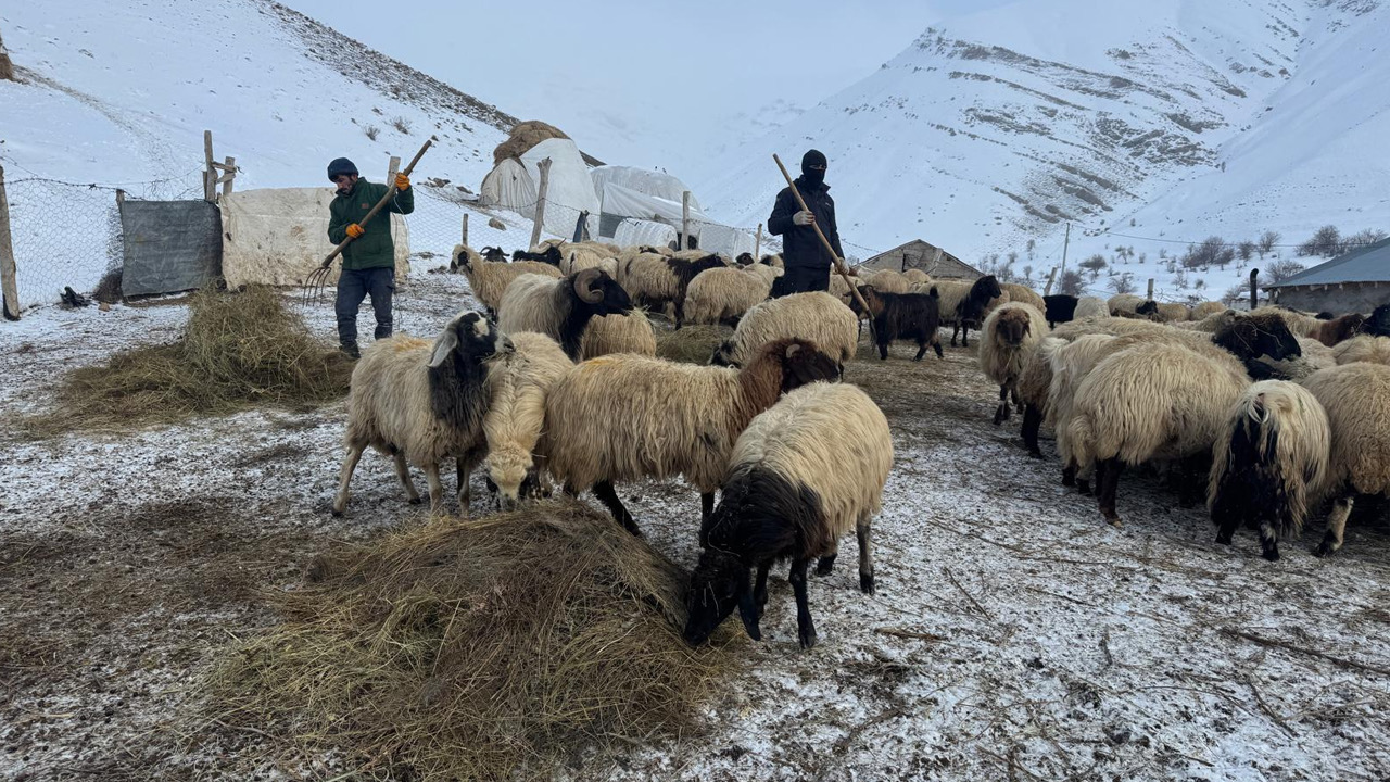 Yüksekova’da besicilerin zorlu kış mesaisi başladı